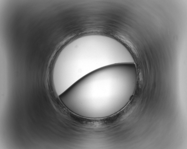 X0000096660492200802121134