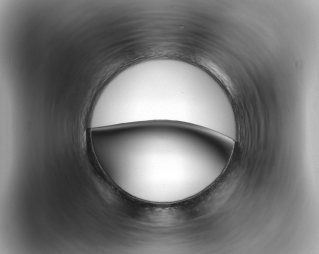 X0000096660493200802121134