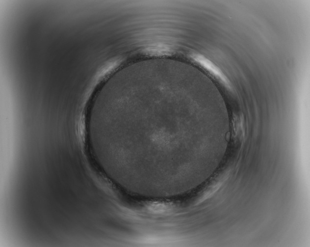 X0000096660494200802121133