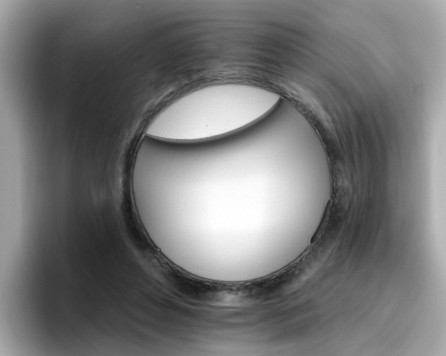 X0000096660496200802121133