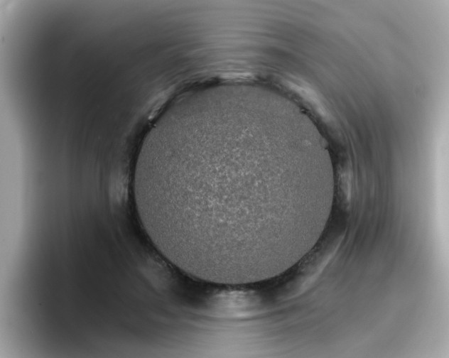 X0000096660499200802121133