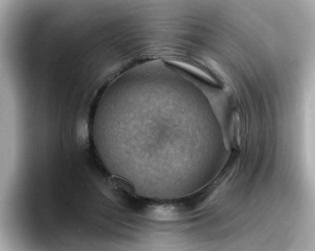 X0000096660500200802121133