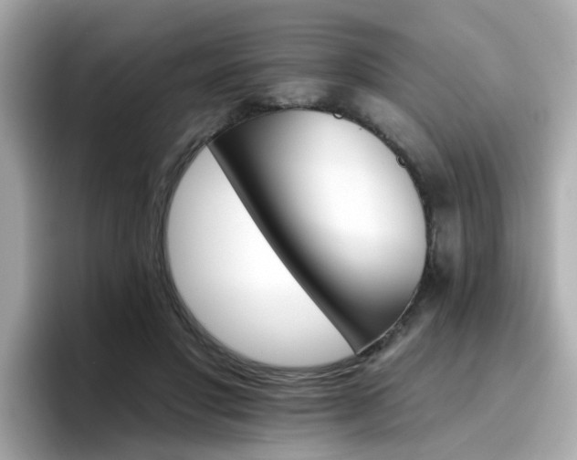 X0000096660501200802121133