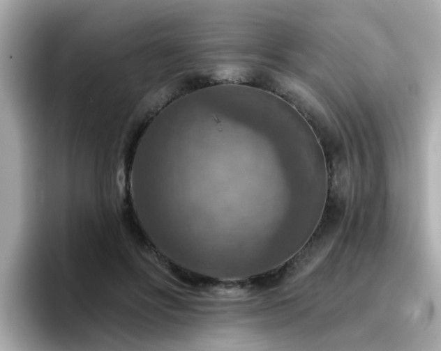 X0000096660502200802121133