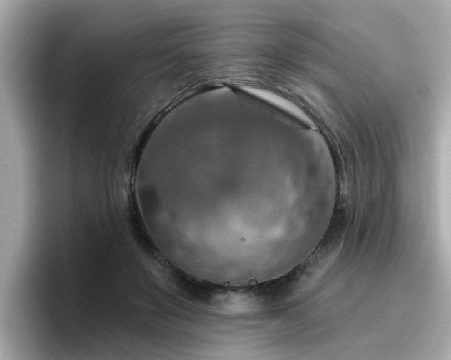 X0000096660503200802121133