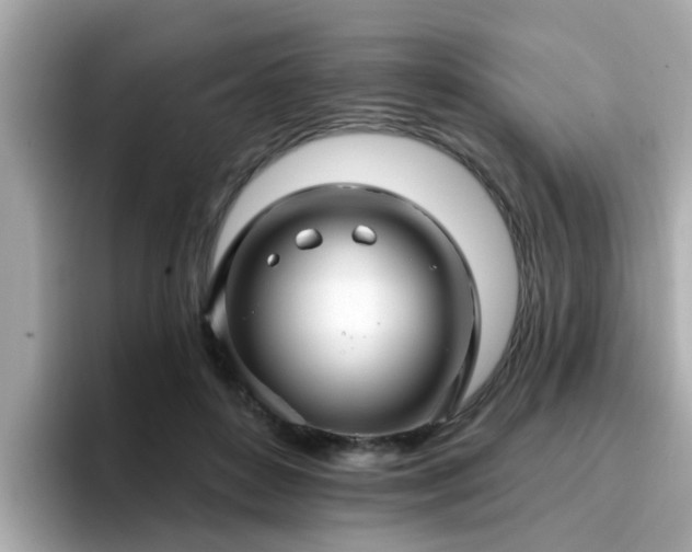 X0000096660504200802121133