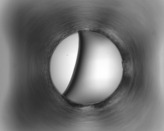 X0000096660505200802121133