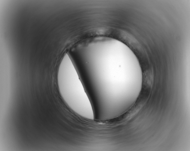 X0000096660509200802121133