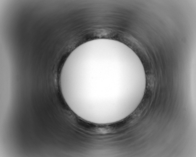 X0000096660510200802121133