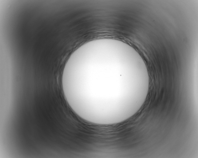 X0000096660512200802121133