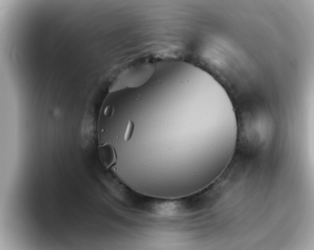 X0000096660513200802121133