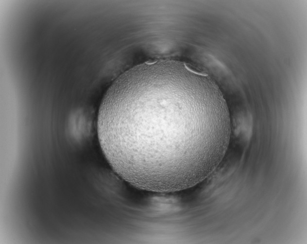 X0000096660515200802121133