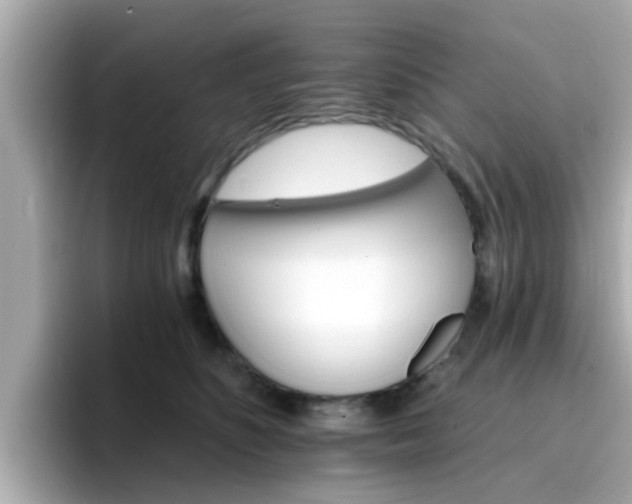 X0000096660516200802121133