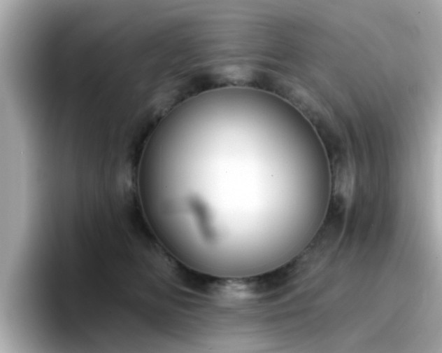 X0000096660518200802121133