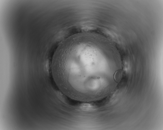 X0000096660519200802121133