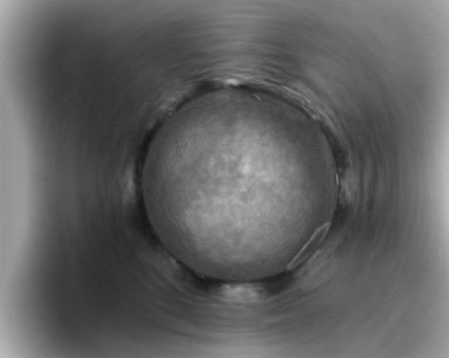 X0000096660520200802121133