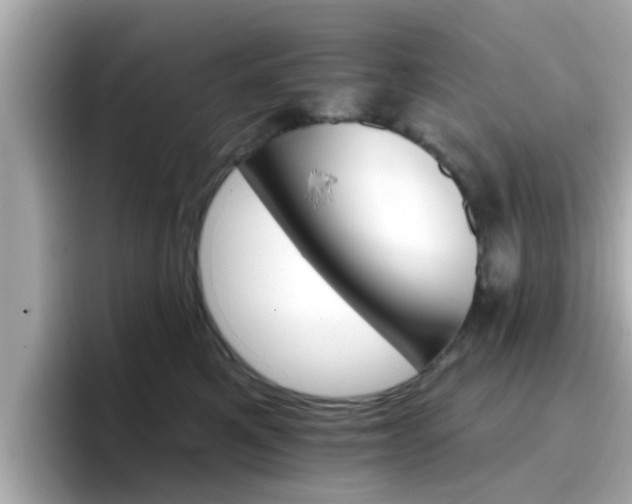 X0000096660521200802121133