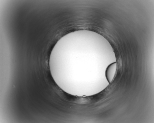 X0000096660522200802121133