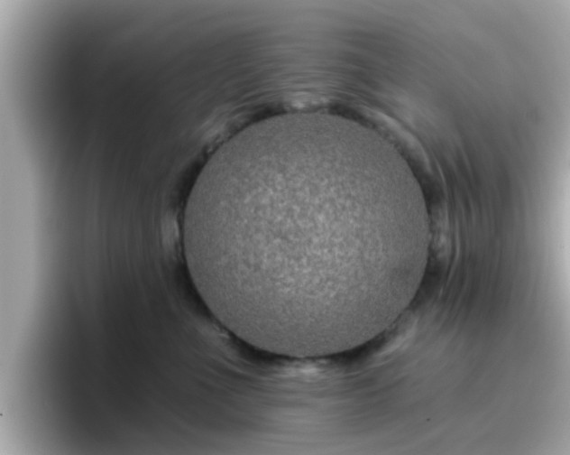 X0000096660523200802121133