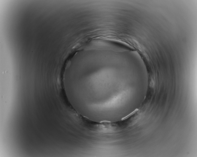 X0000096660524200802121133