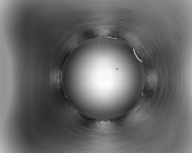 X0000096660525200802121133