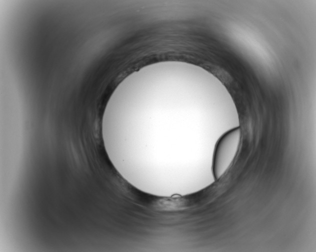 X0000096660526200802121133