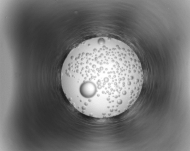 X0000096660527200802121133