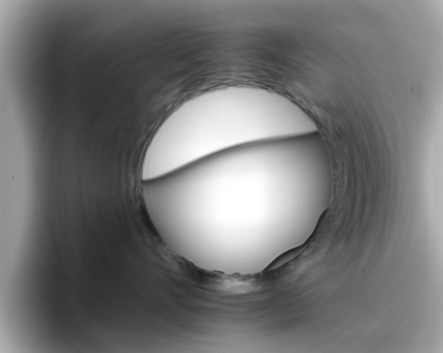 X0000096660528200802121133