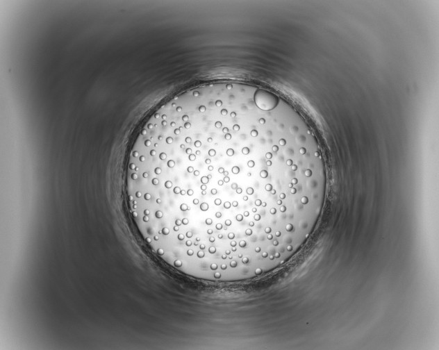 X0000096660529200802121132