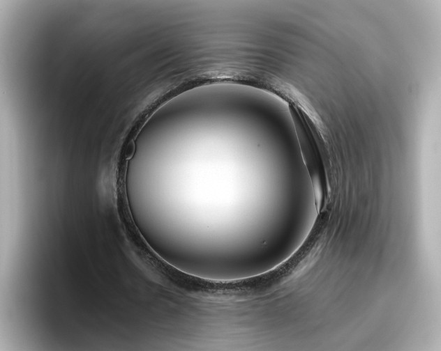 X0000096660530200802121132