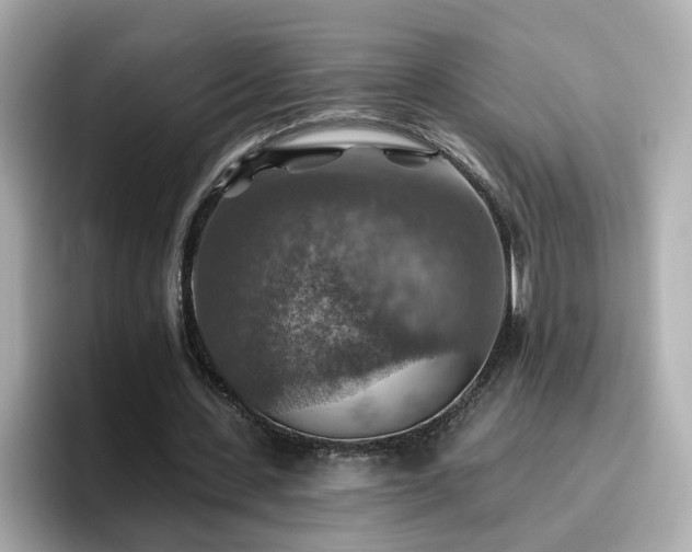 X0000096660531200802121132