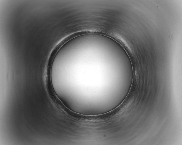 X0000096660532200802121132