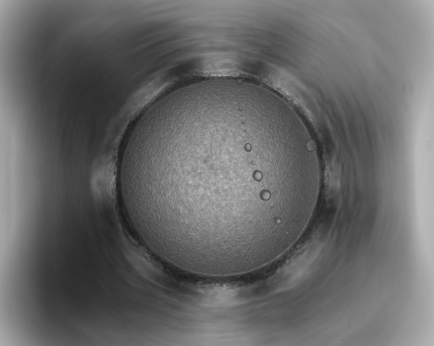 X0000096660533200802121132