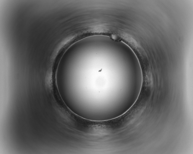 X0000096660535200802121132