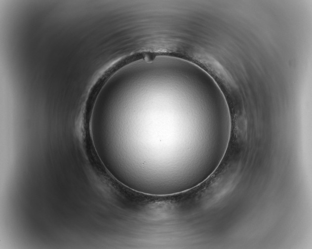 X0000096660536200802121132