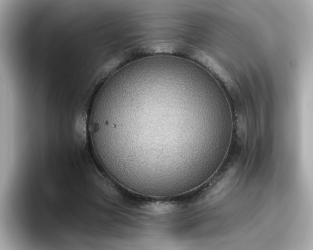 X0000096660537200802121132