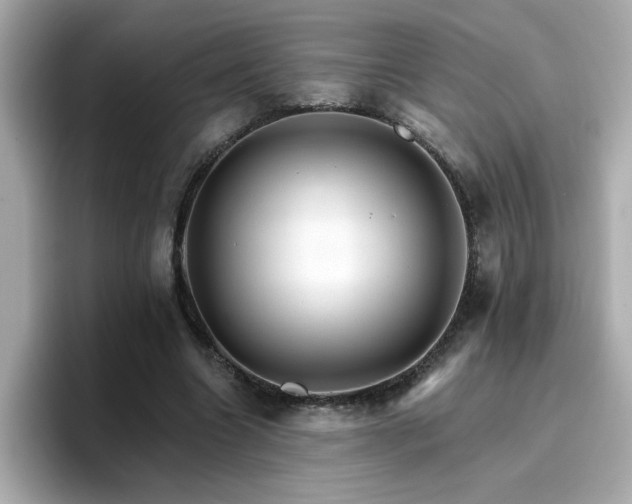 X0000096660538200802121132