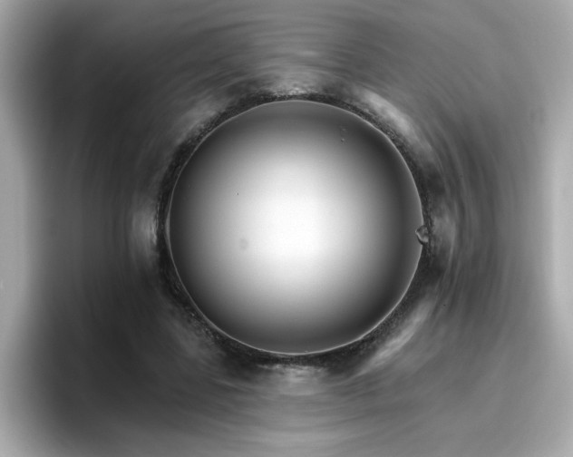 X0000096660539200802121133