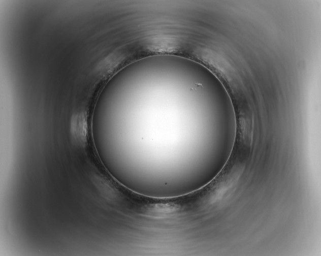 X0000096660541200802121133