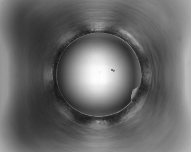 X0000096660543200802121133