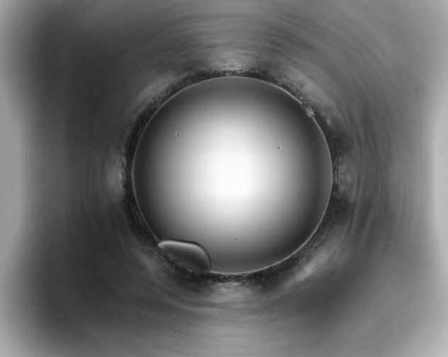 X0000096660544200802121133