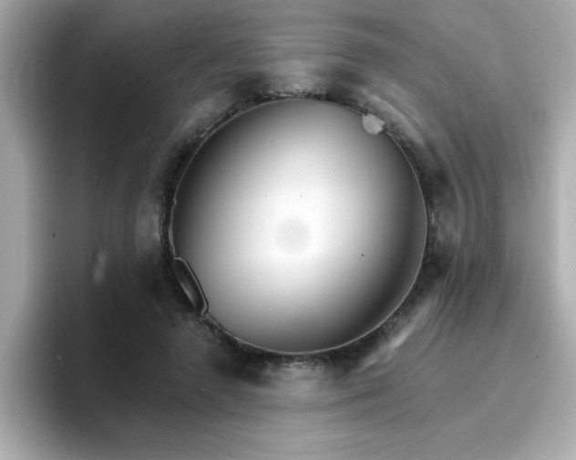 X0000096660546200802121133