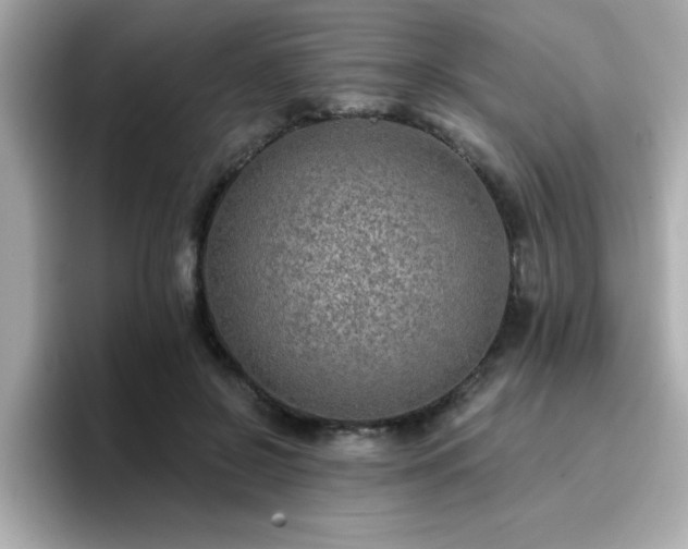 X0000096660550200802121133