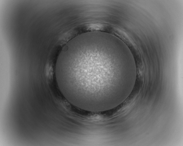 X0000096660551200802121133