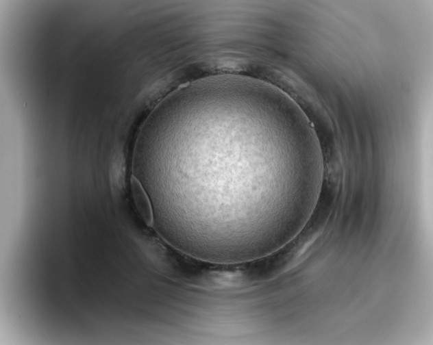 X0000096660552200802121133