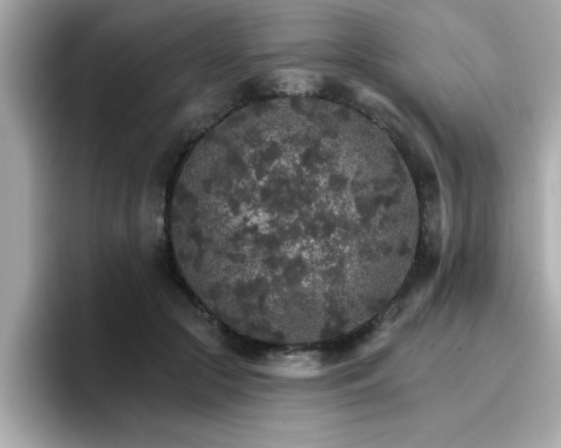 X0000096660553200802121133