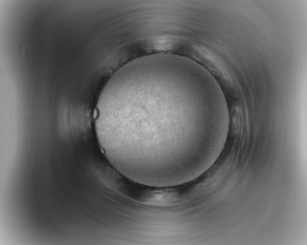 X0000096660555200802121133