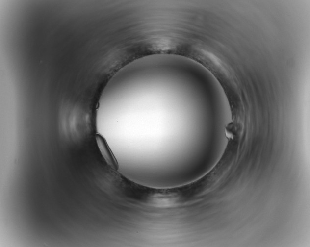 X0000096660556200802121133