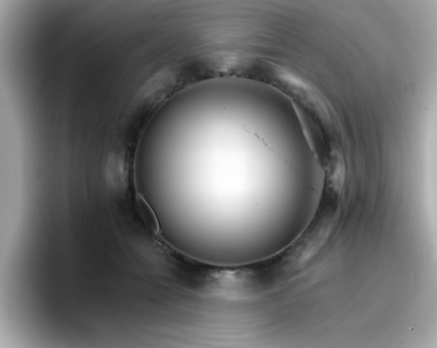 X0000096660558200802121133