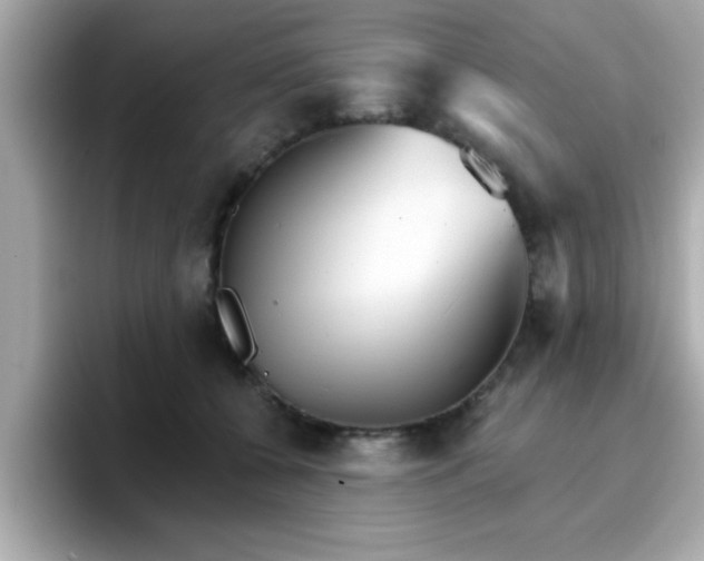 X0000096660560200802121133